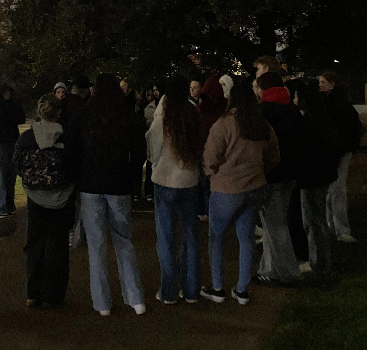A photo from one of our true crime walking tours showing a crowd of people gather on the grassy knoll listening to our tour guide tell his story